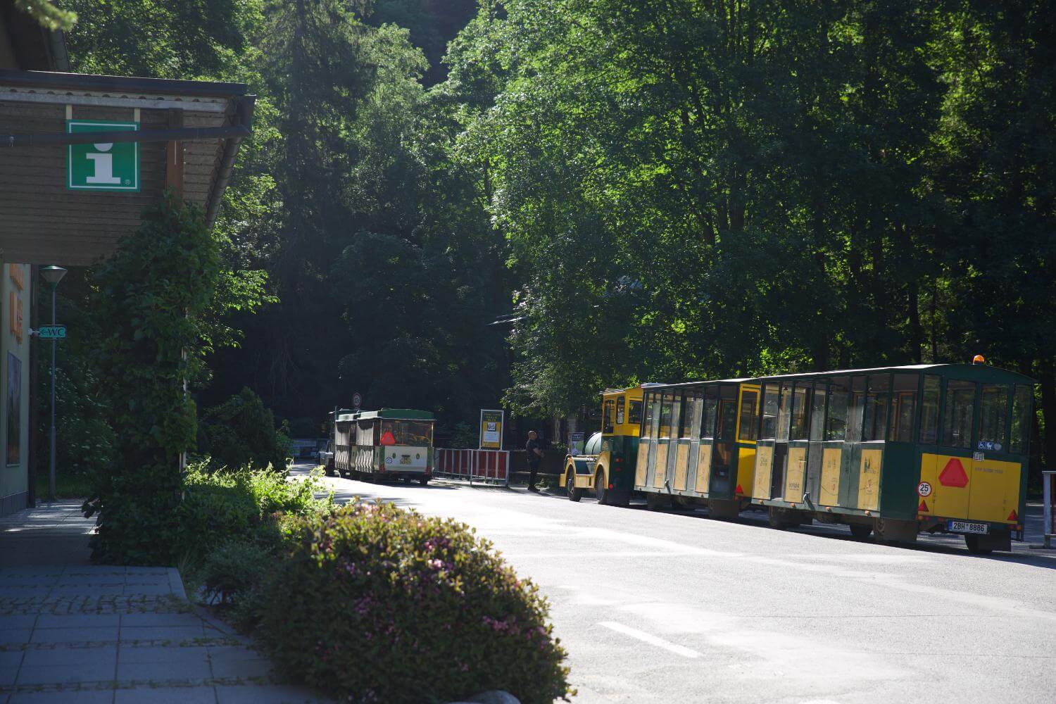 Žlutý turistický vláček na silnici vedoucí lesem za slunečného dne.