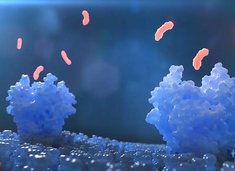 3D visualization of immune cells with blue and pink antibodies interacting and binding to pathogen molecules.