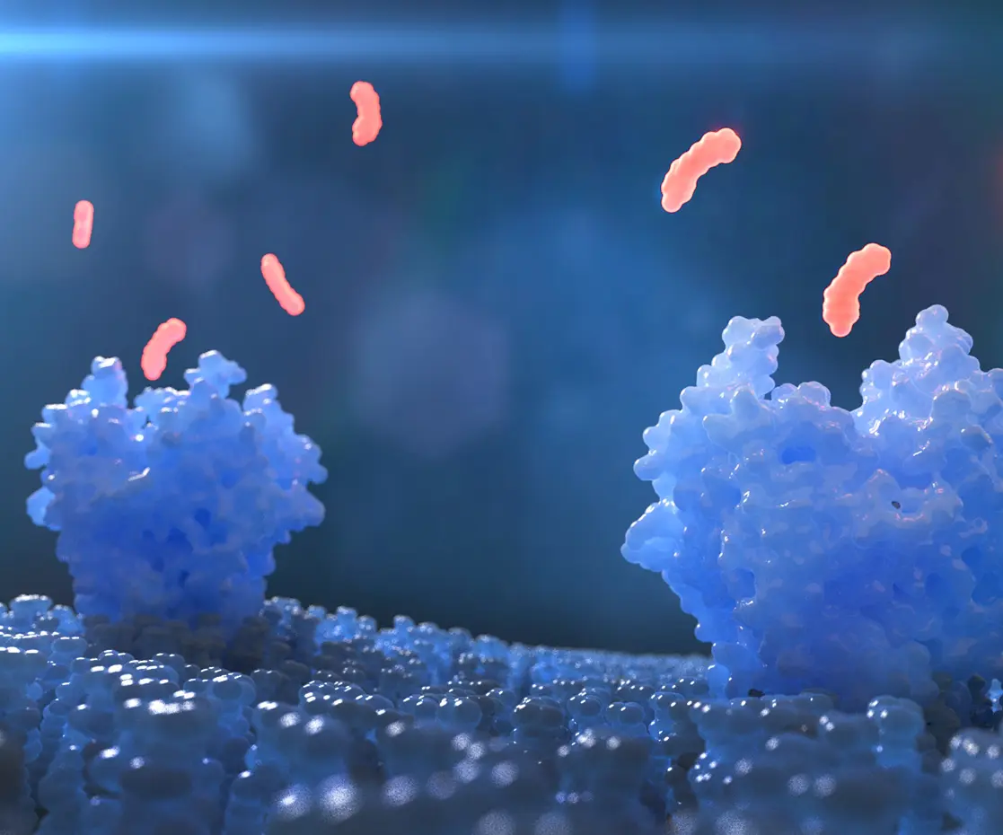Immune cells antibody interaction blue pink 3D visualization scientific medical illustration.