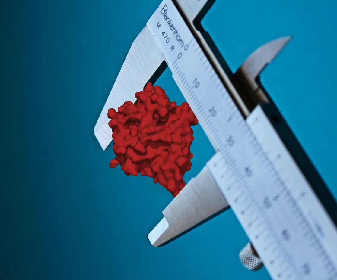 Protein structure measurement caliper scale red molecular research biochemistry visualization.