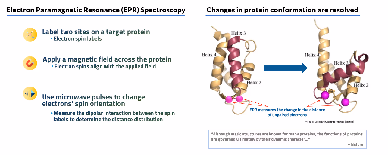 Infographic explaining how EPR spectroscopy works.