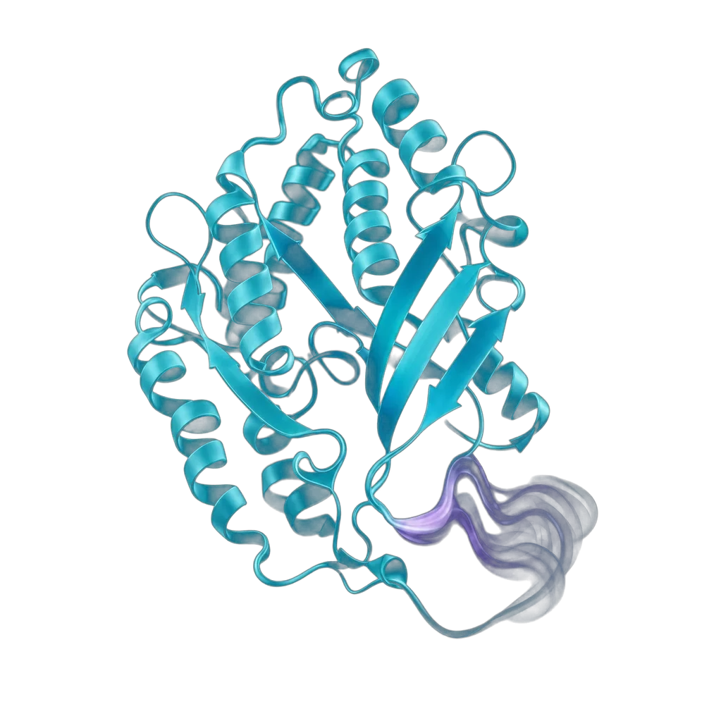 3D protein ribbon structure with alpha helices, beta sheets, and a disordered region in purple at one end.