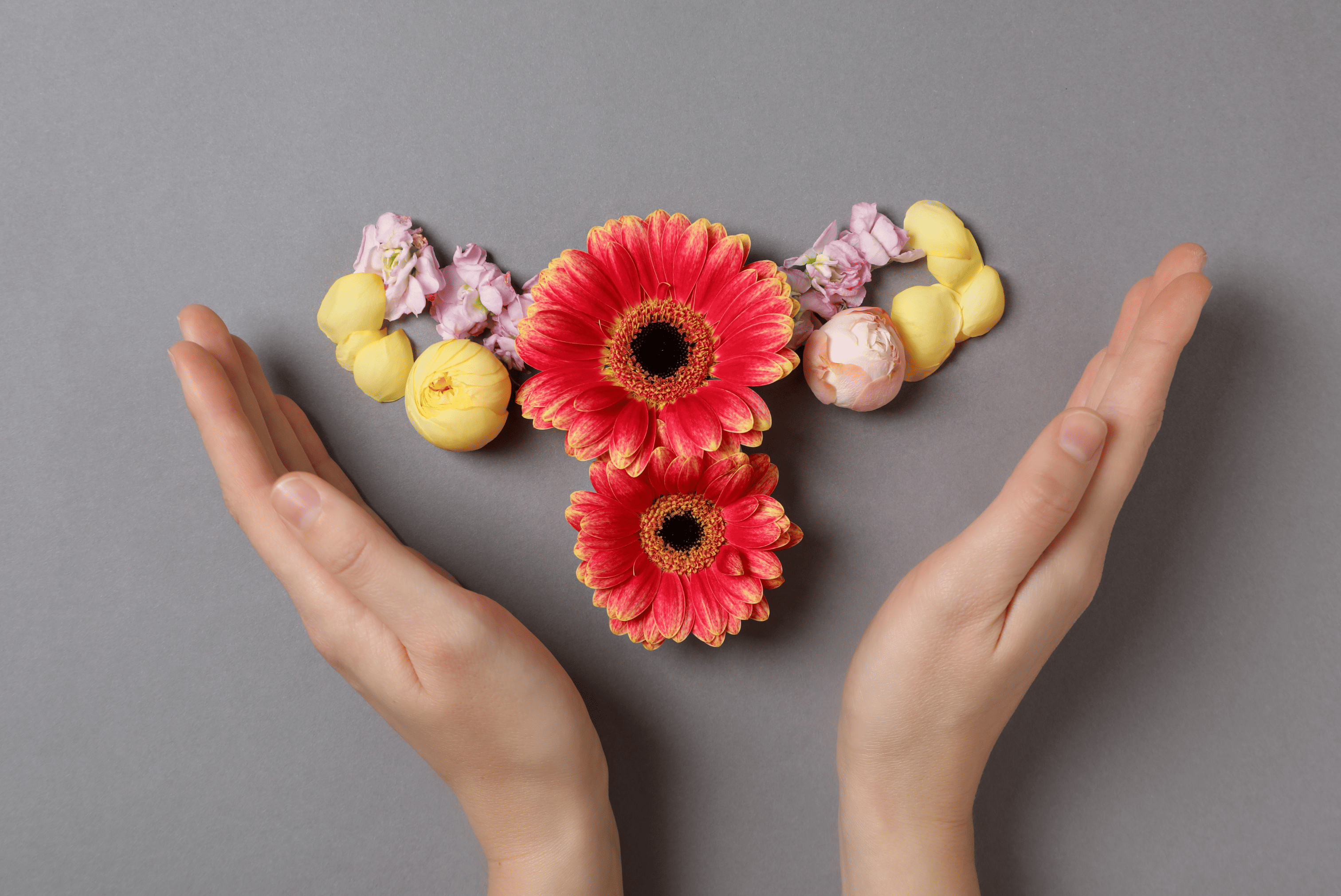 Mains entourant une composition florale en forme d’utérus, symbolisant la santé féminine et le bien-être reproductif.