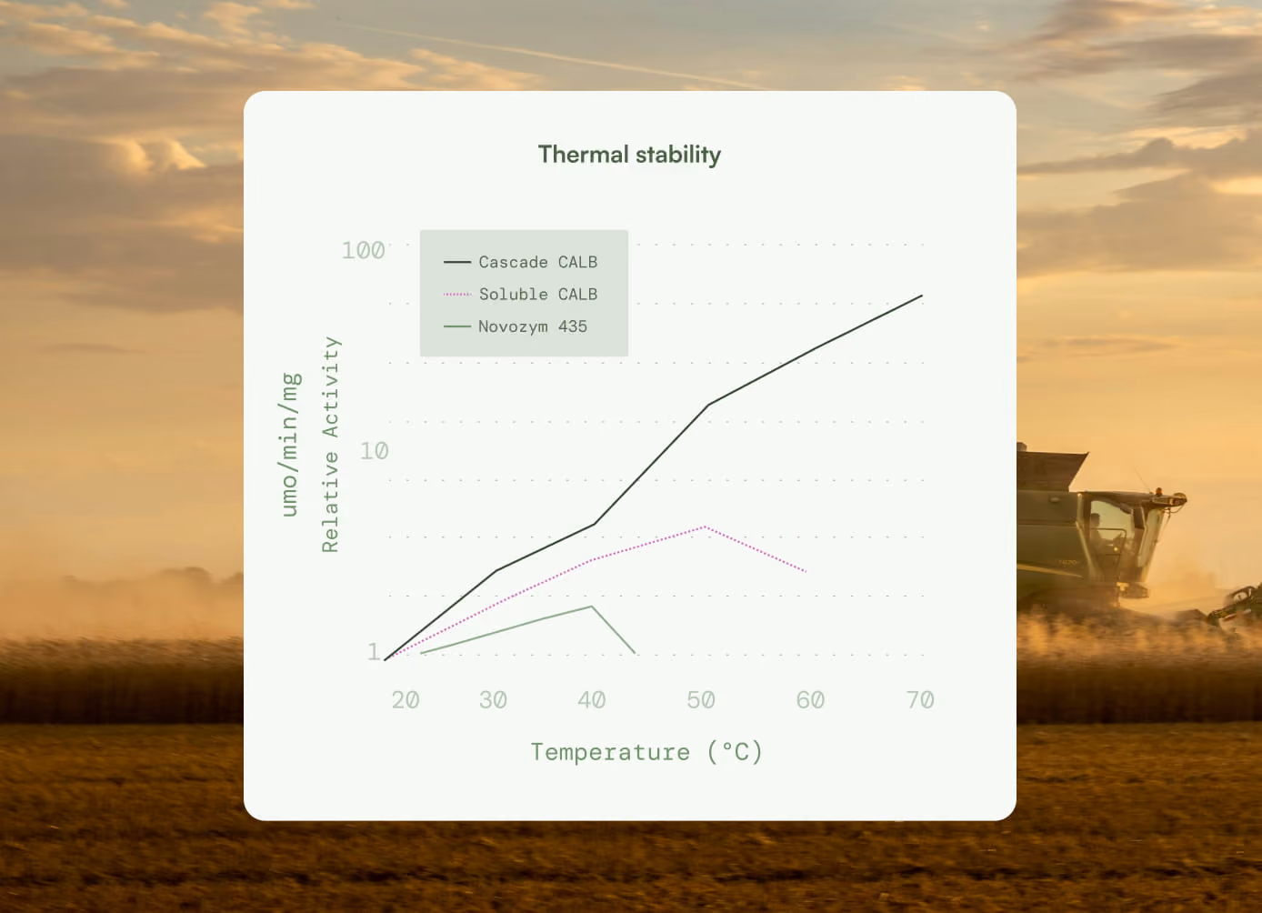 Line graph showing thermal stability of Cascade CALB, Soluble CALB, and Novozym 435 at 20-70°C.