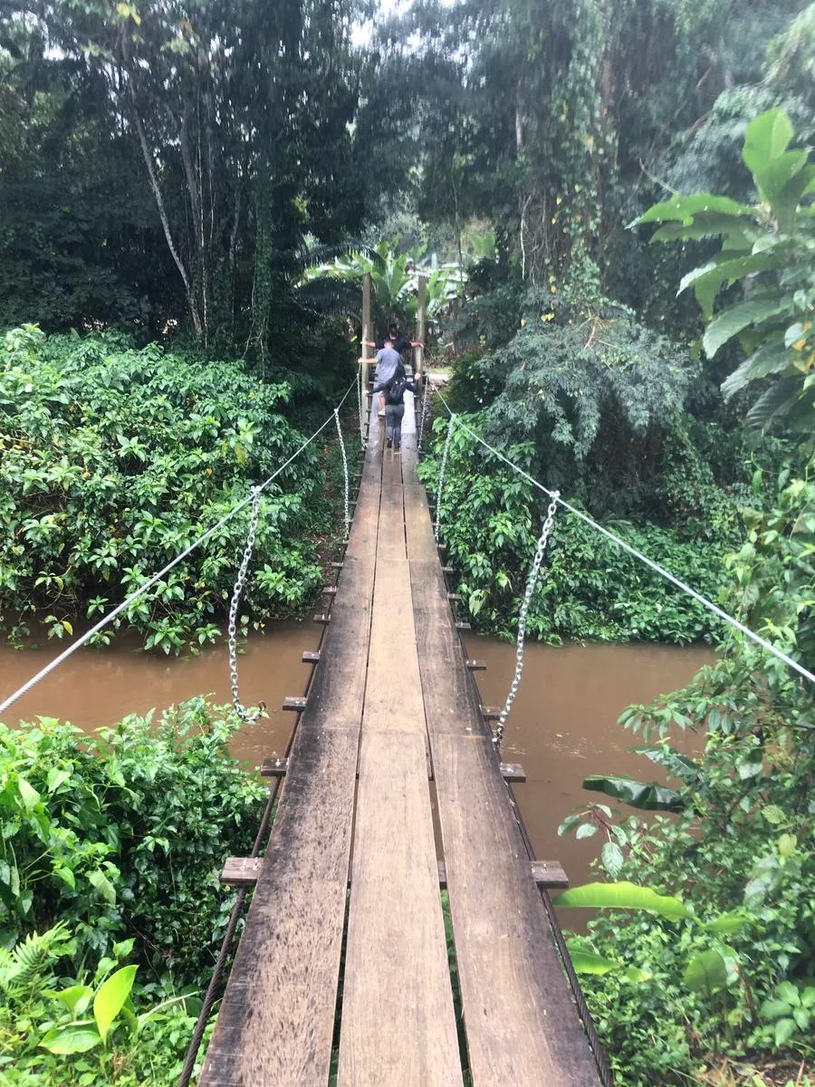 Dos personas cruzando un puente colgante de madera sobre un río rodeado de vegetación verde.