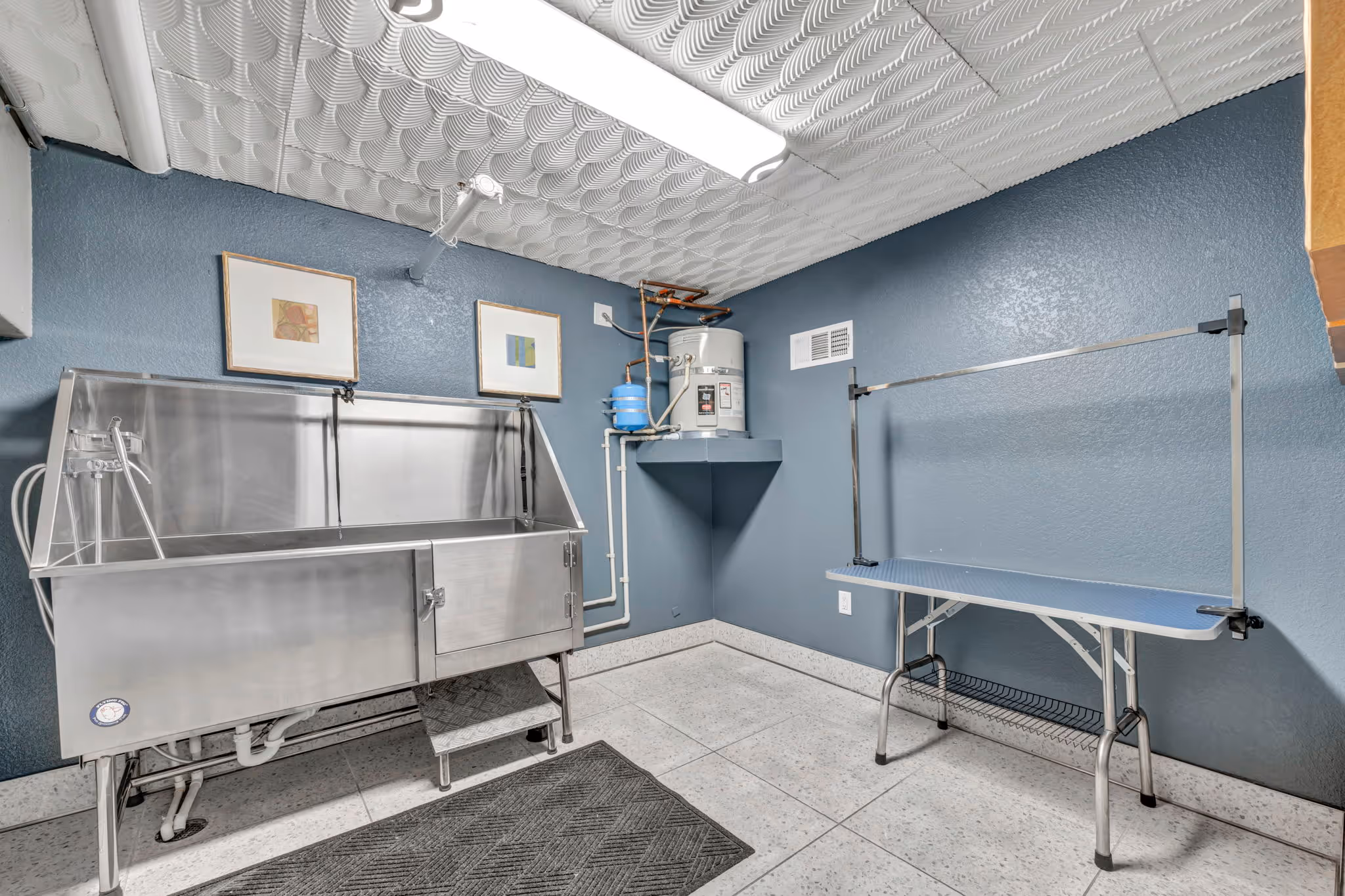 Dog washing facilities with sink