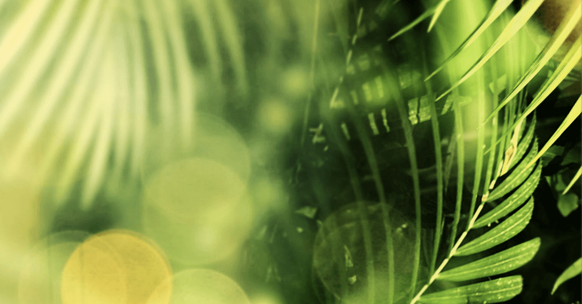 6 Ways to Reconnect with Nature