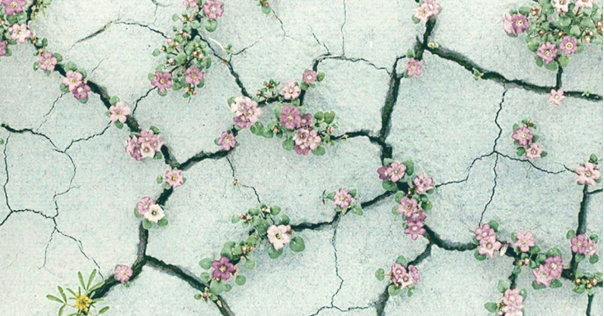 Getting Through Tough Times with Resilience