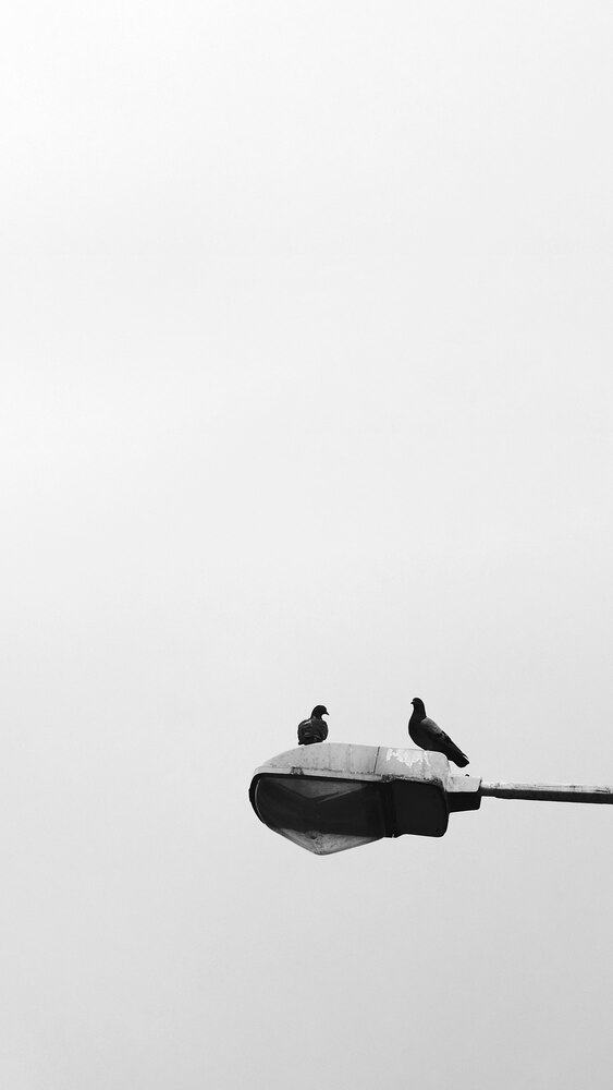Man’s Last Freedom | Quote by Viktor Frankl