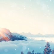 Finding Sunshine in the Depth of Winter
