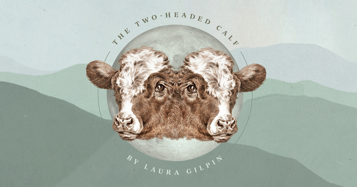 The Two-Headed Calf Poem by Laura Gilpin