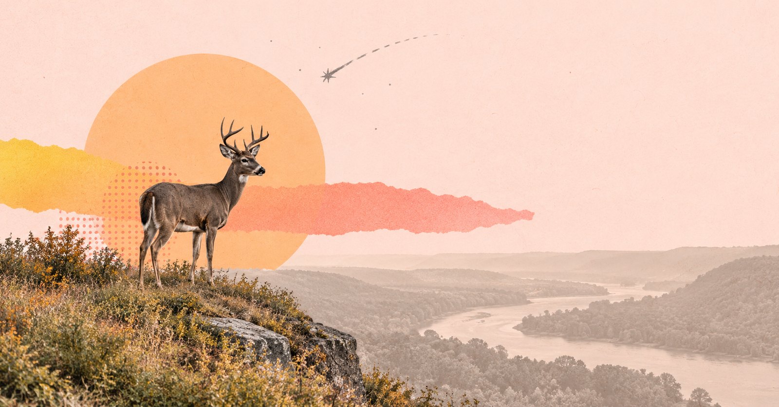 Collage: a white-tailed deer stands calm on a river bluff at dawn under a single shooting star (the meaning of Tecumseh's name).
