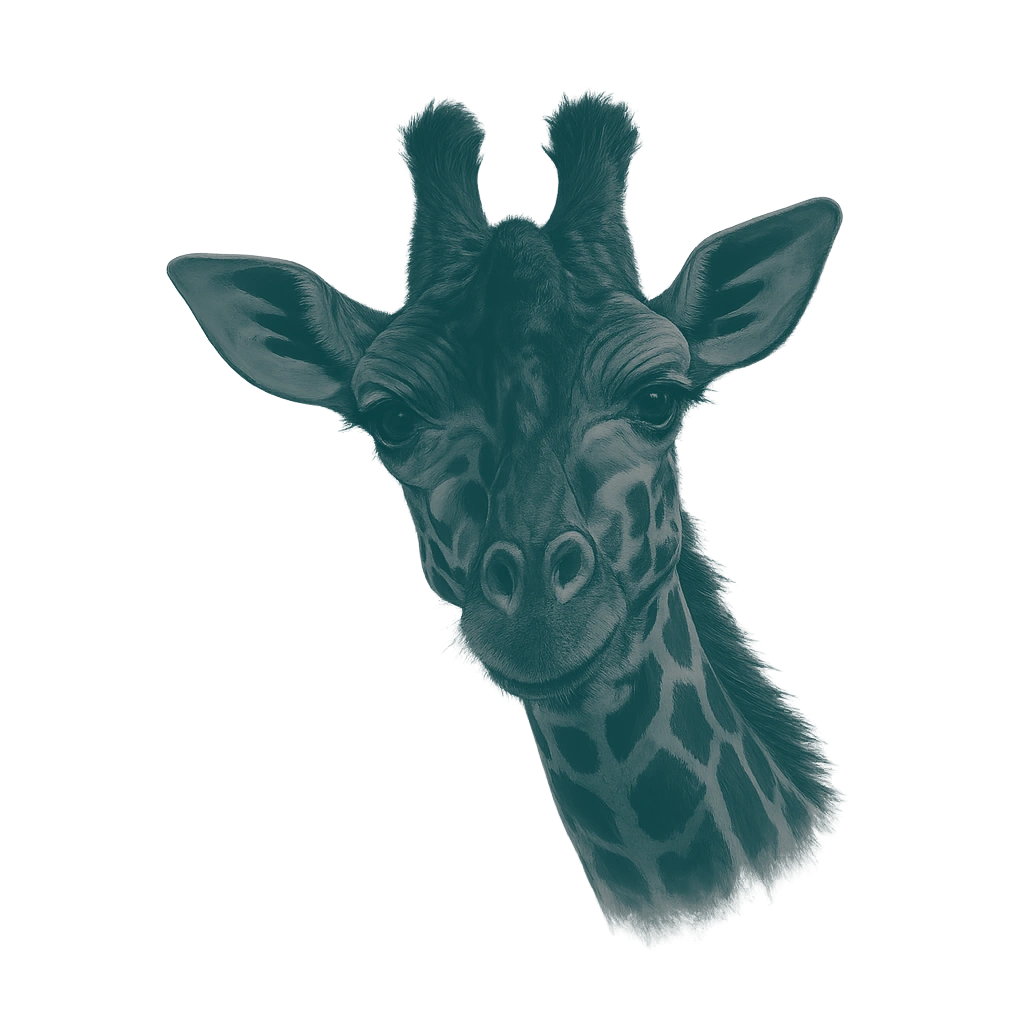 Girafe Les Mah Boules — illustration newsletter