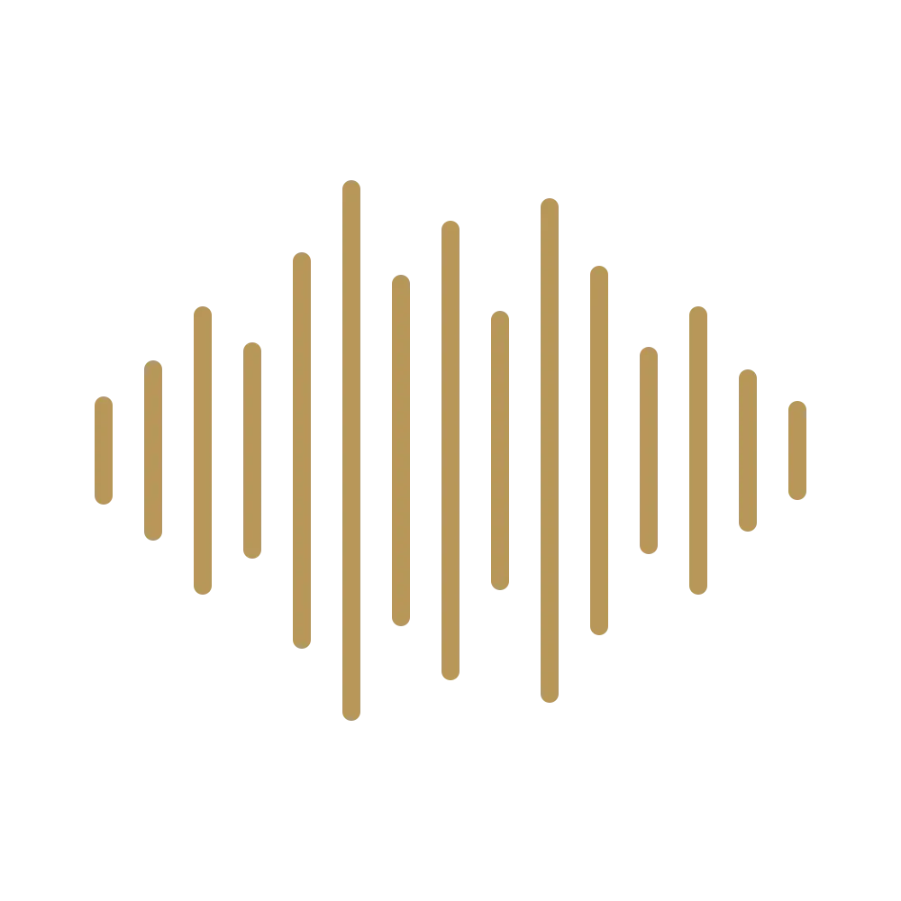 Full-night wedding DJ package
