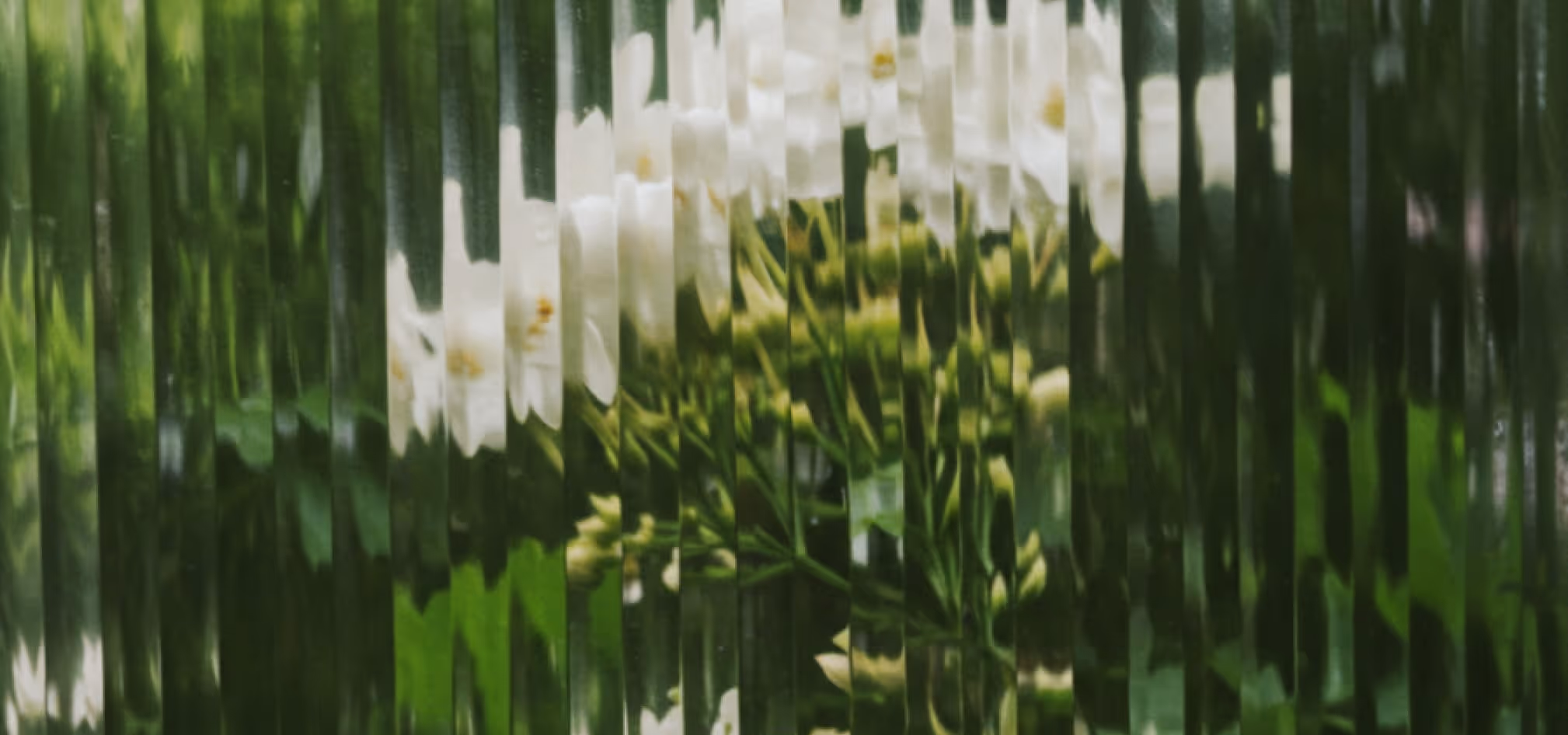White jasmine flowers behind fluted glass at Sequoia Clinic Dubai