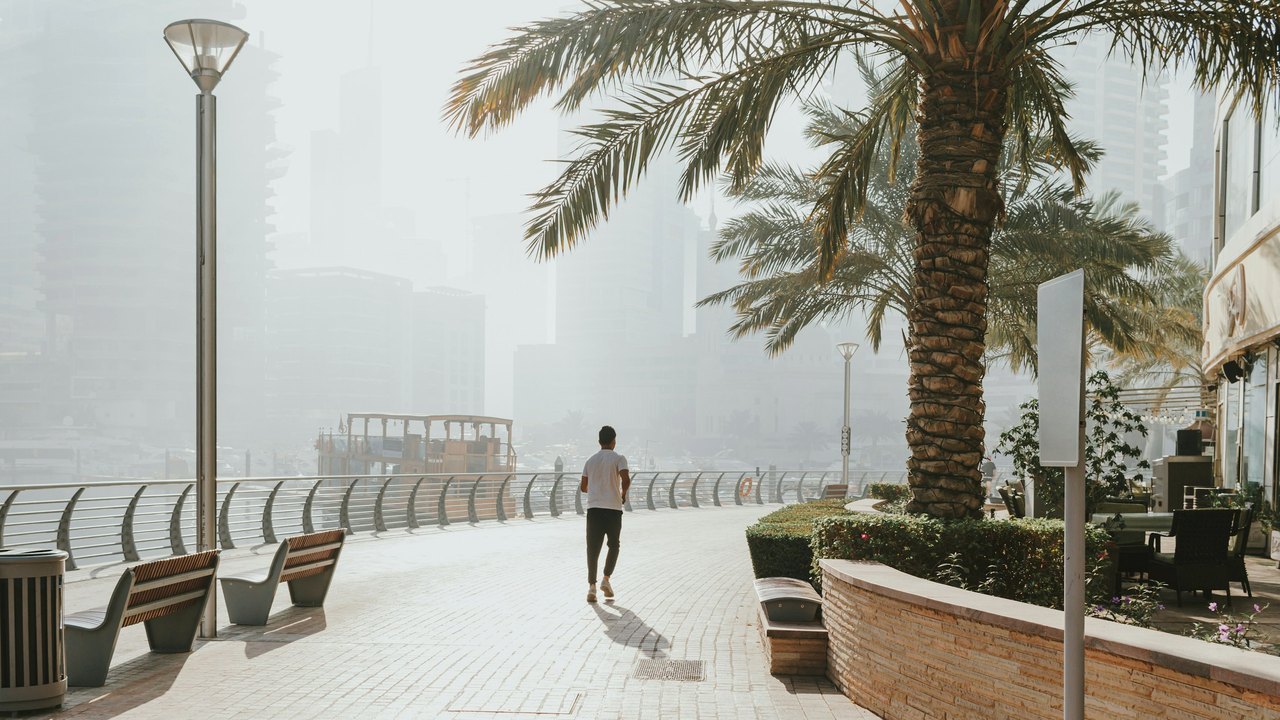 Man walking along a palm-lined waterfront promenade in hazy morning light
