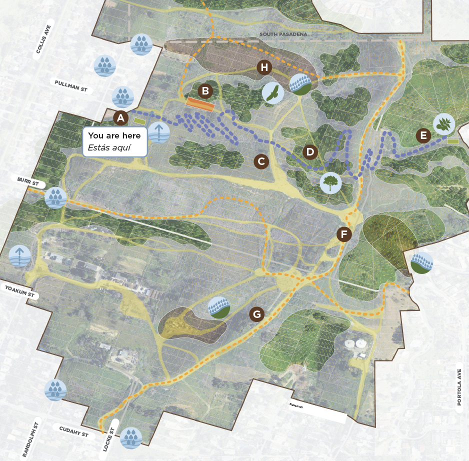 map of elephant hill