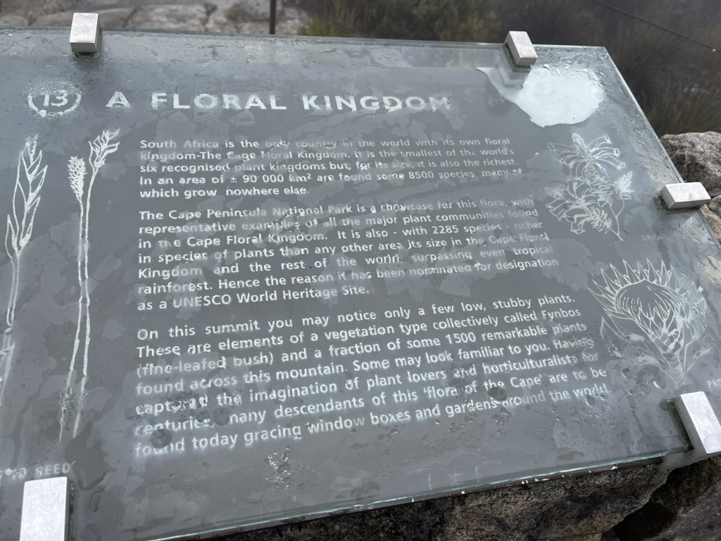 Table Mountain Information