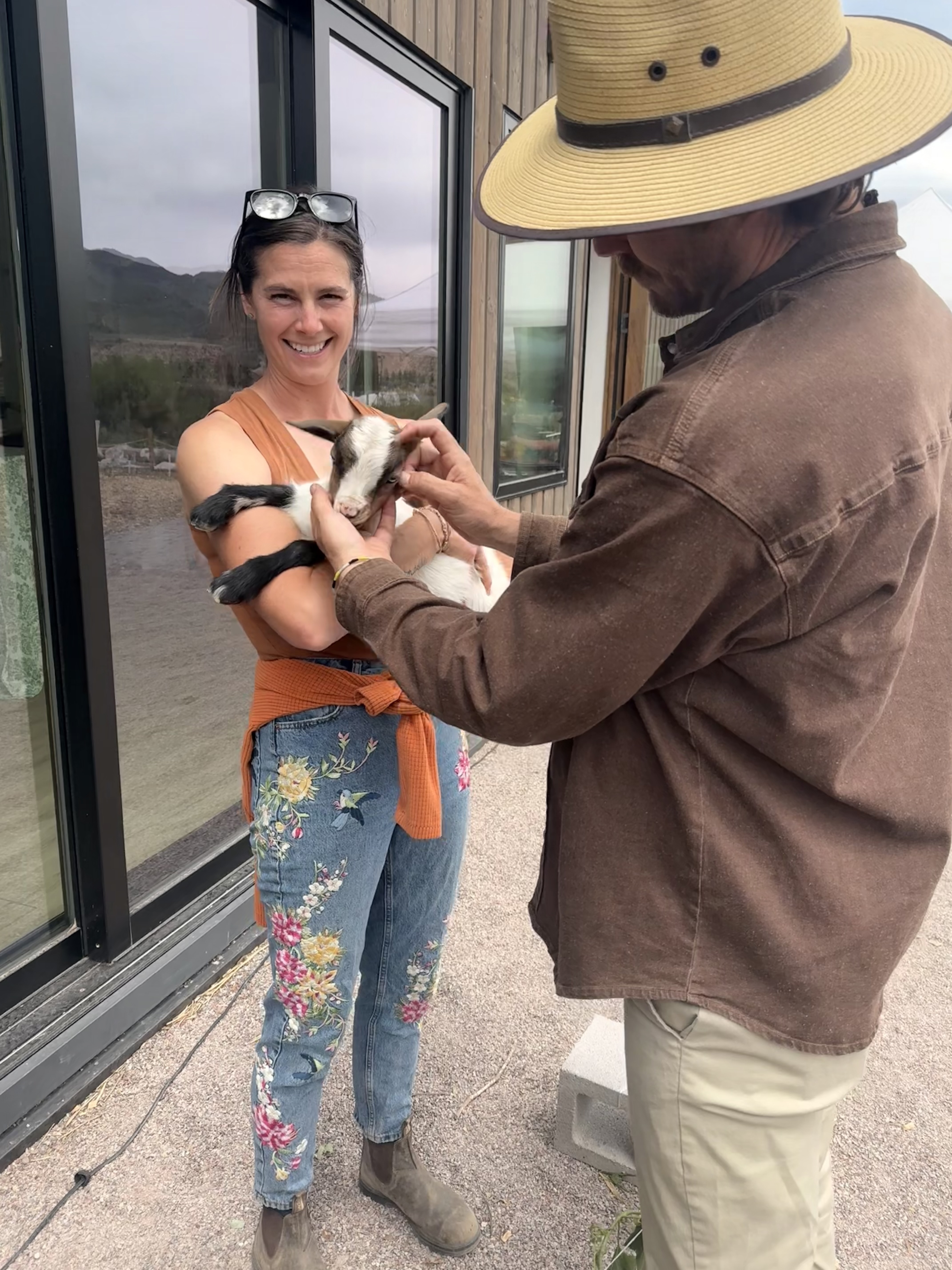 Farm Collaborative baby goats