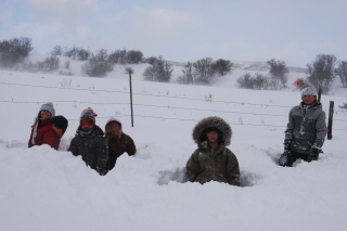 Kids playing in the snow on a snow day in the Roaring Fork Valley