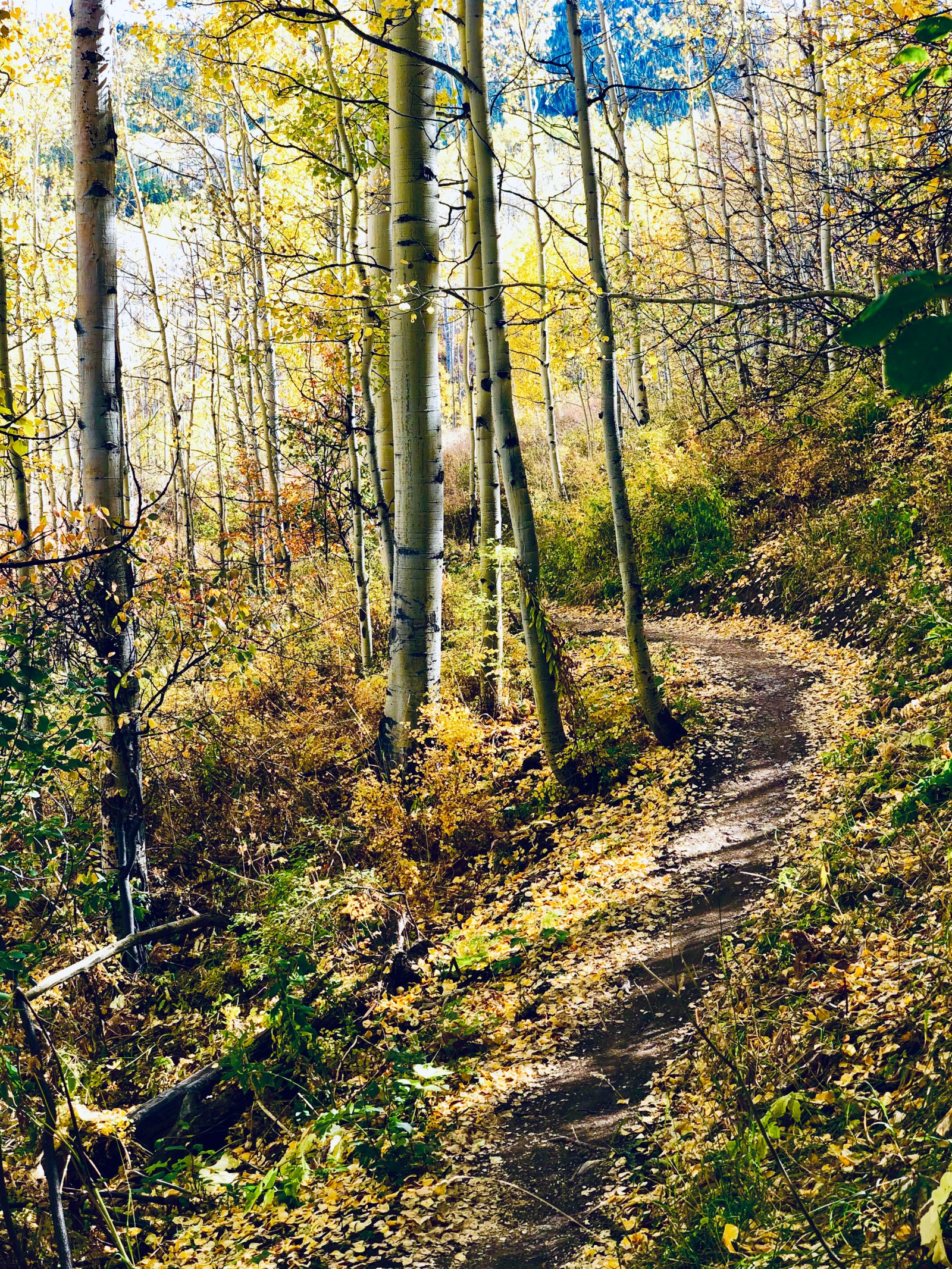 Autumn mountain scenery
