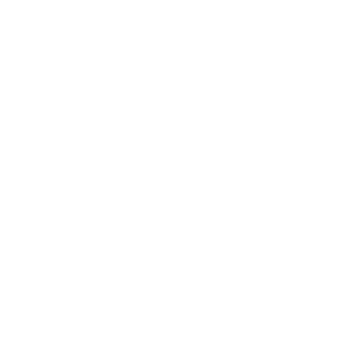 Schnelle Lieferzeit Icon
