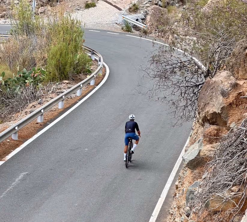 image of road bikes for a bicycle shop
