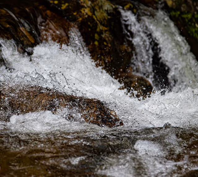 Close-up of water splashing over rocks in a flowing stream.