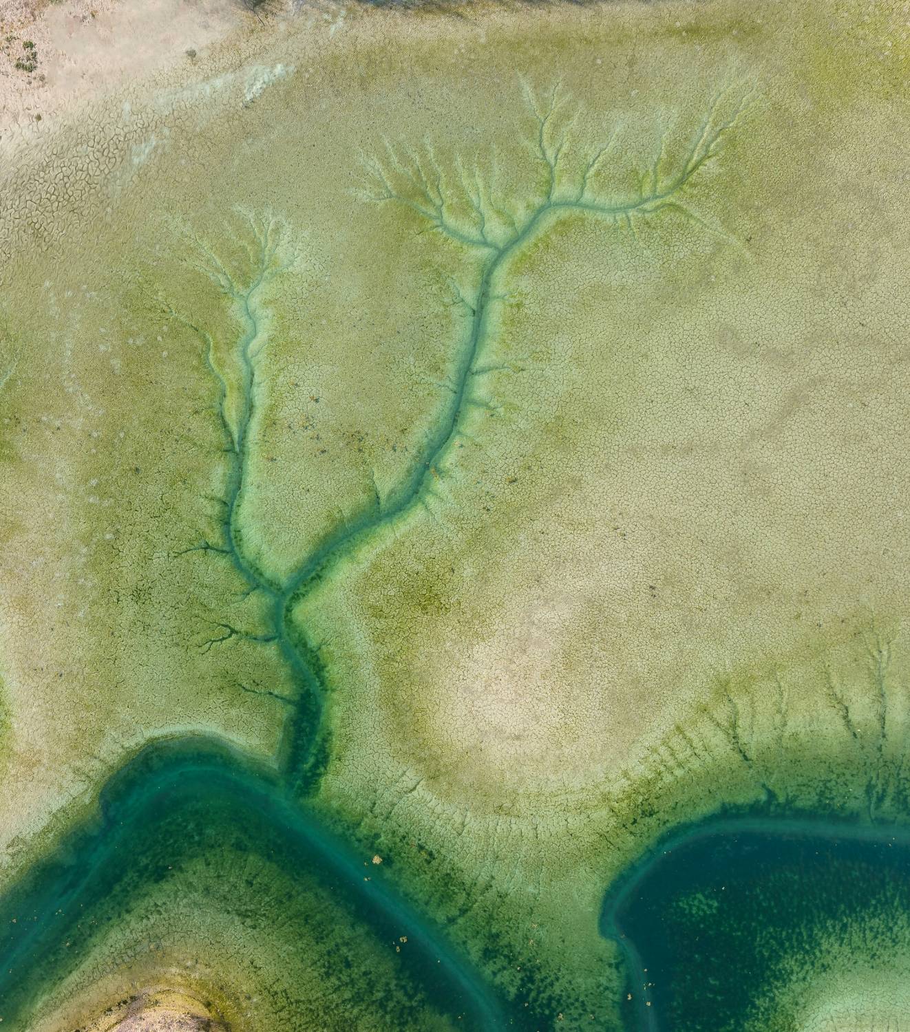 Vue aérienne de ramifications d'un delta