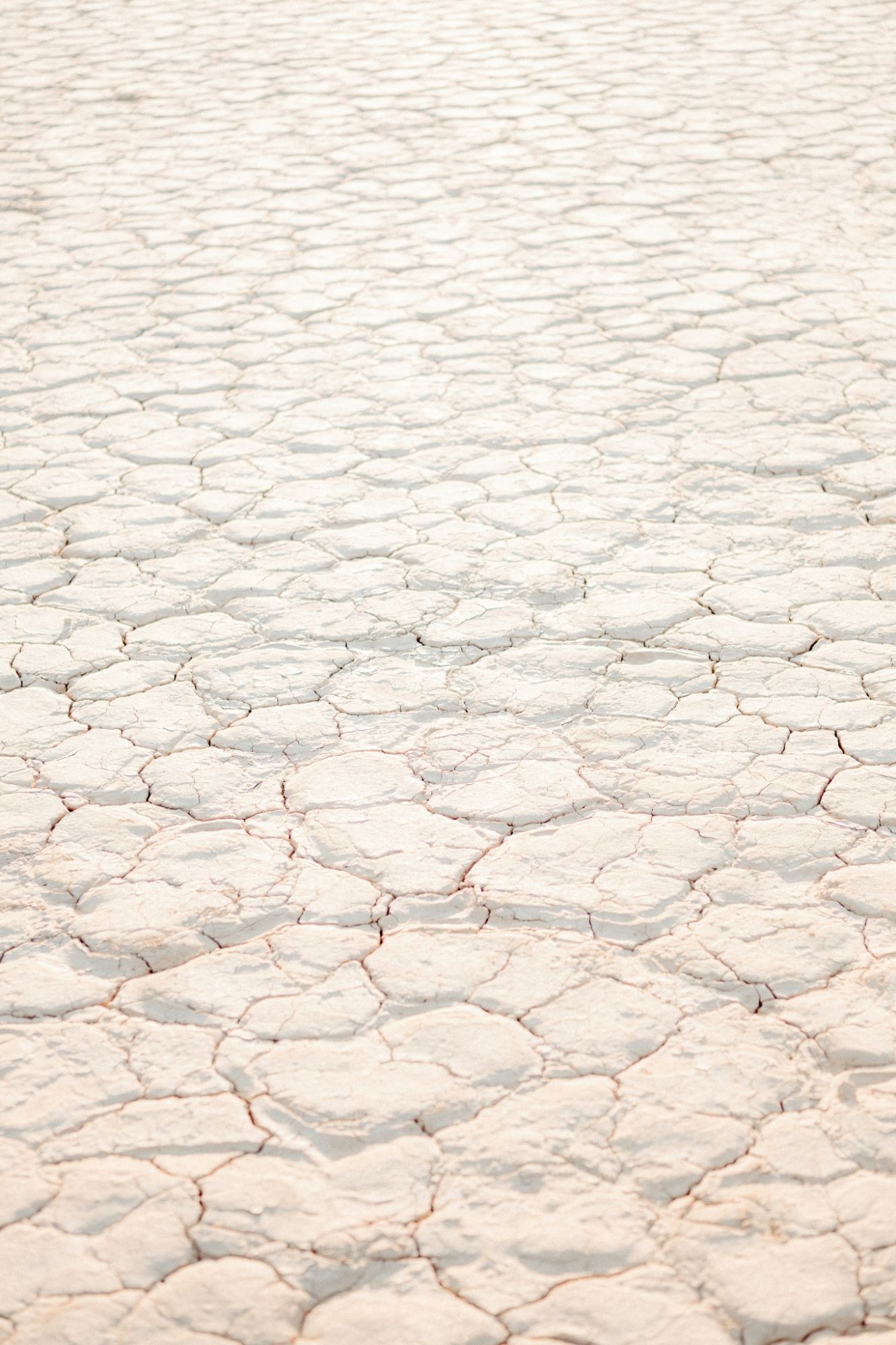 Gros plan sur un sol de sel craquelé