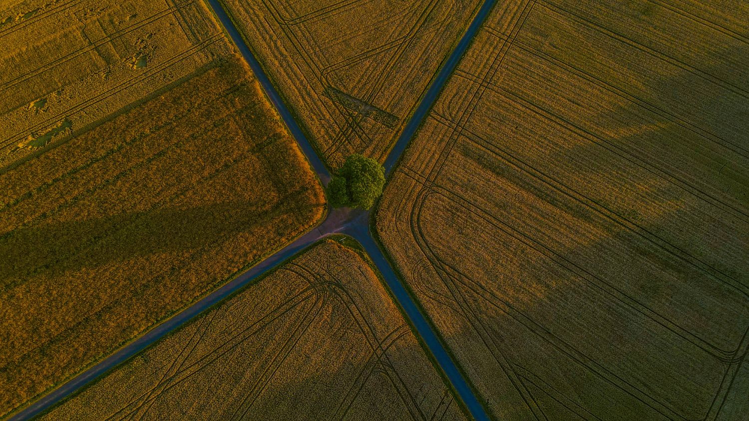 Vue aérienne d'un croisement de chemins entre des champs
