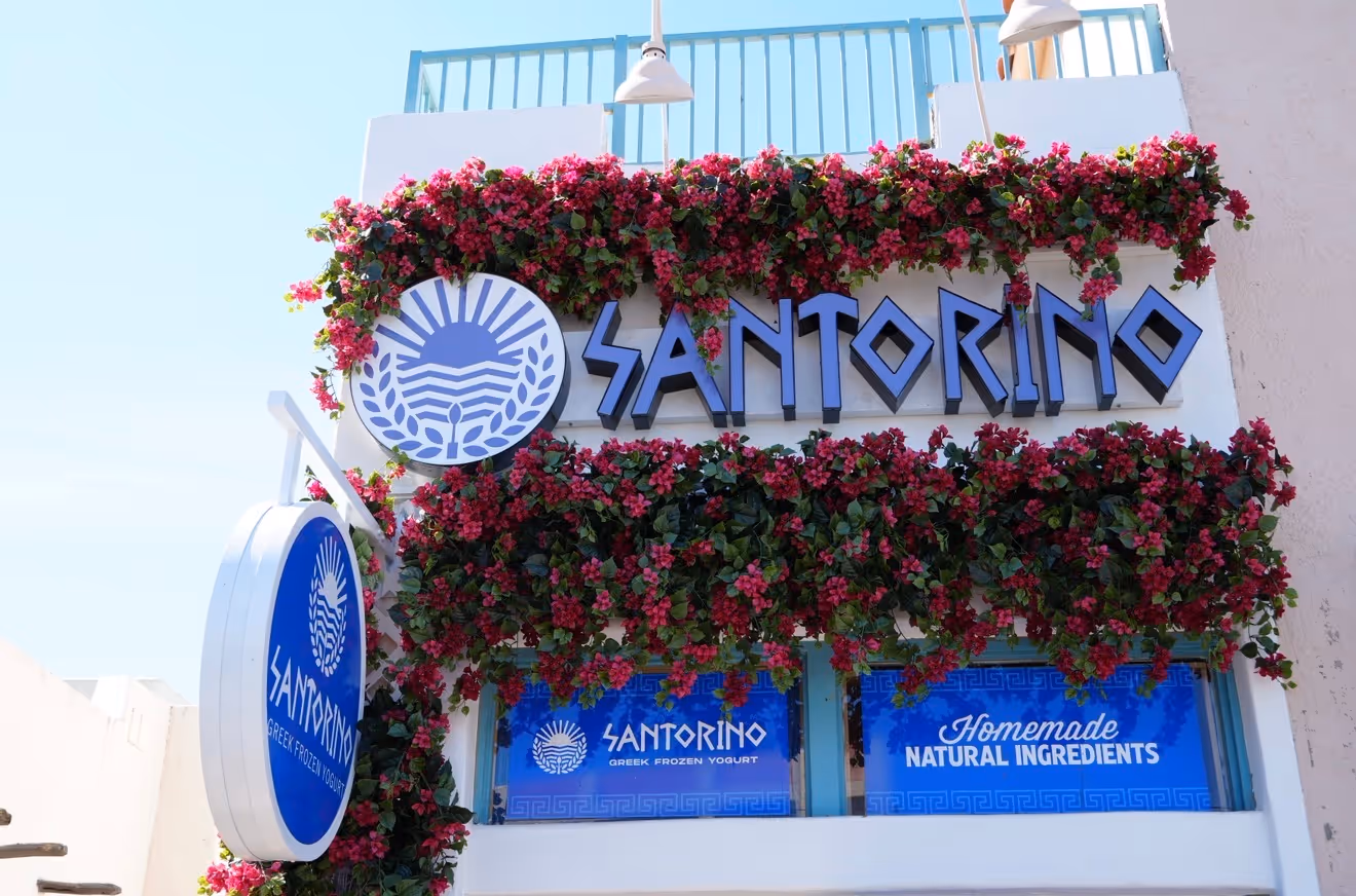 Santorino frozen yogurt shop sign decorated with pink flowers and blue accents.