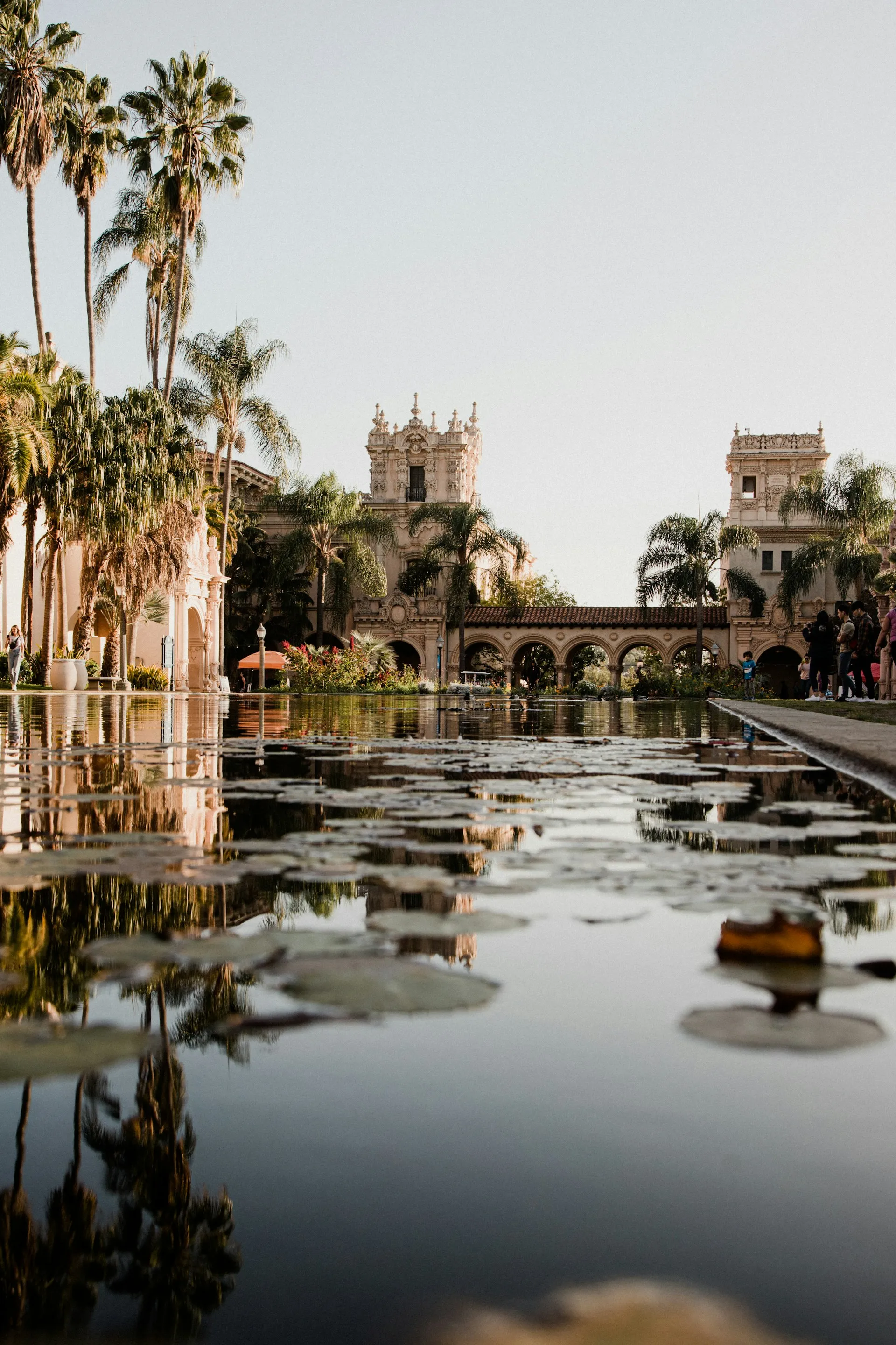 Balboa Park buildings and palm trees reflected in a lily pad-covered pond under clear sky.