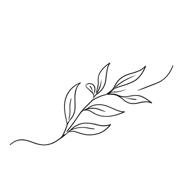 line drawing of a leaf