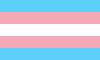 trans flag representing inclusivity