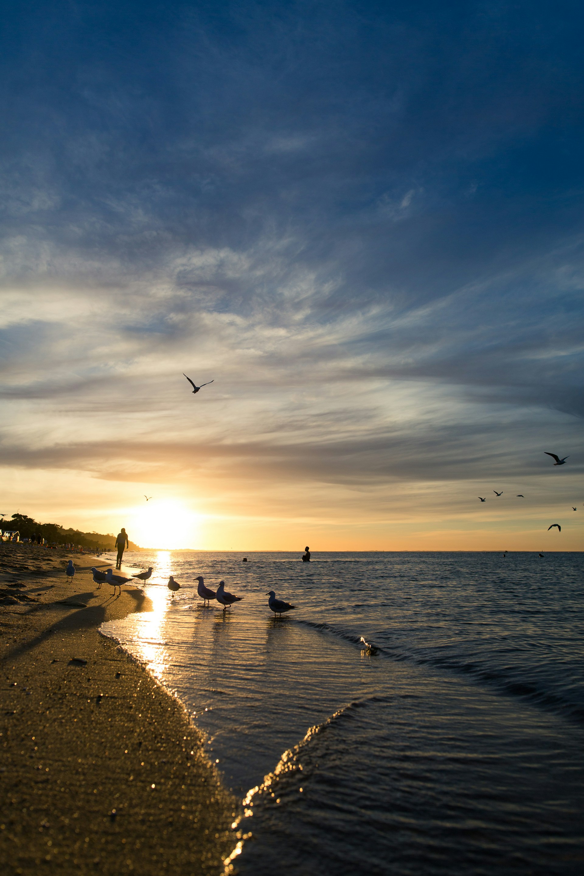 Dromana