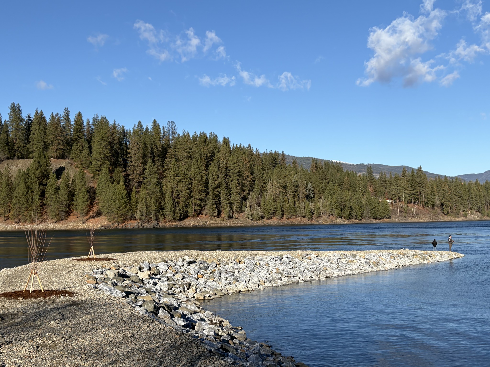 Department of Ecology