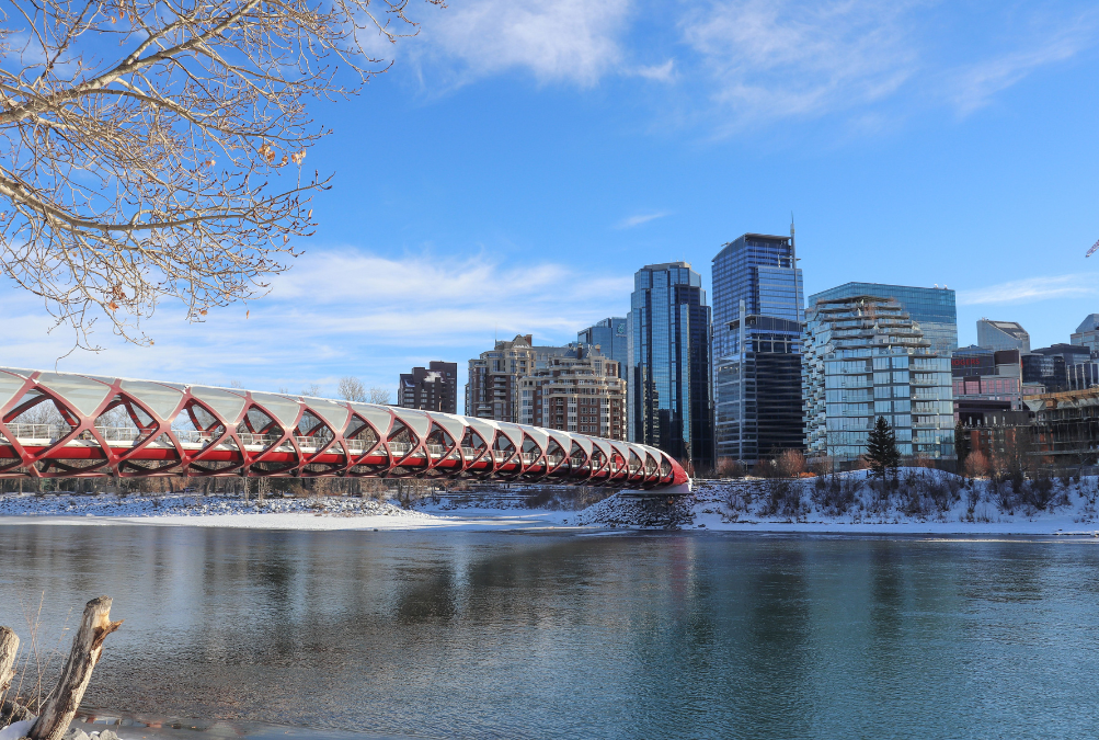Alberta PNP News: You Can Now Edit Your Submitted Worker Expression of Interest (WEOI) Form