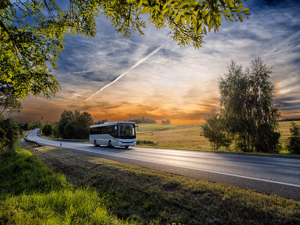 White coach bus driving on a winding rural road at sunset with green trees and fields.