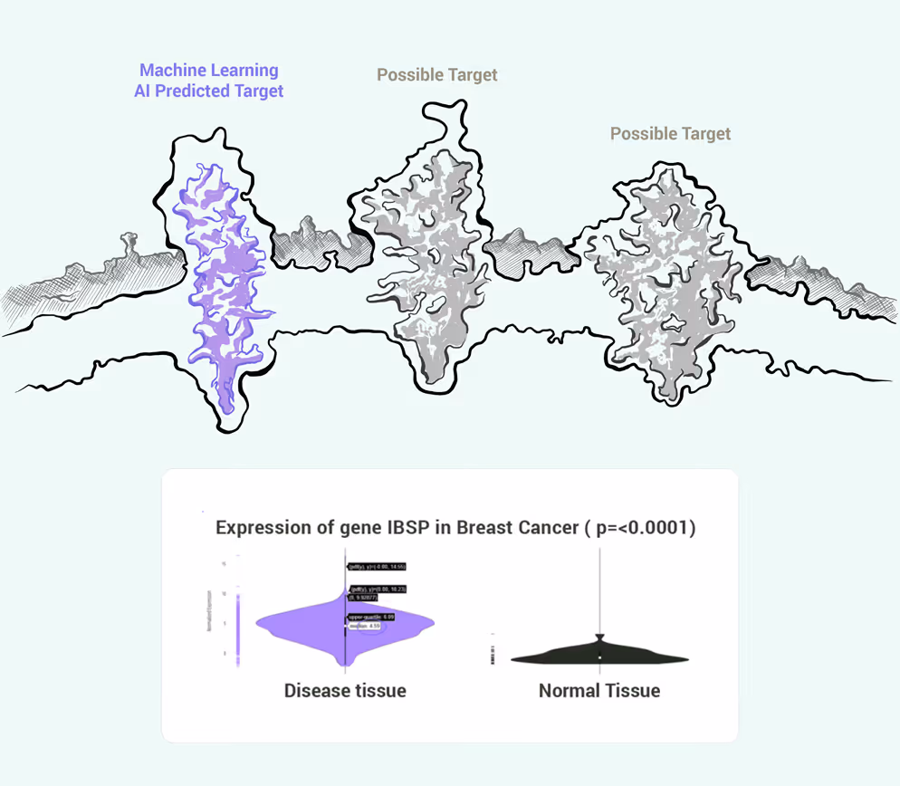 Diagram showing a machine learning AI predicted target and two possible targets in a cellular structure, with a violin plot comparing IBSP gene expression in breast cancer disease tissue and normal tissue.