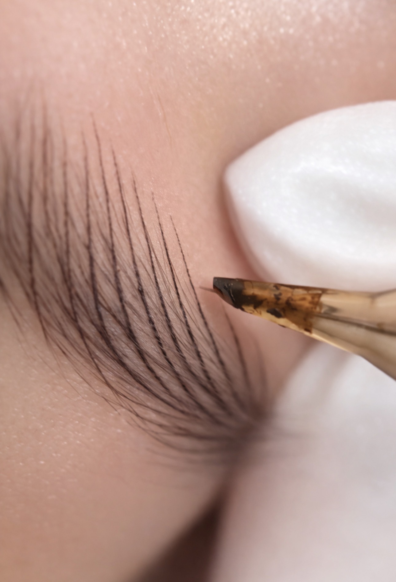 Massage Therapy Image