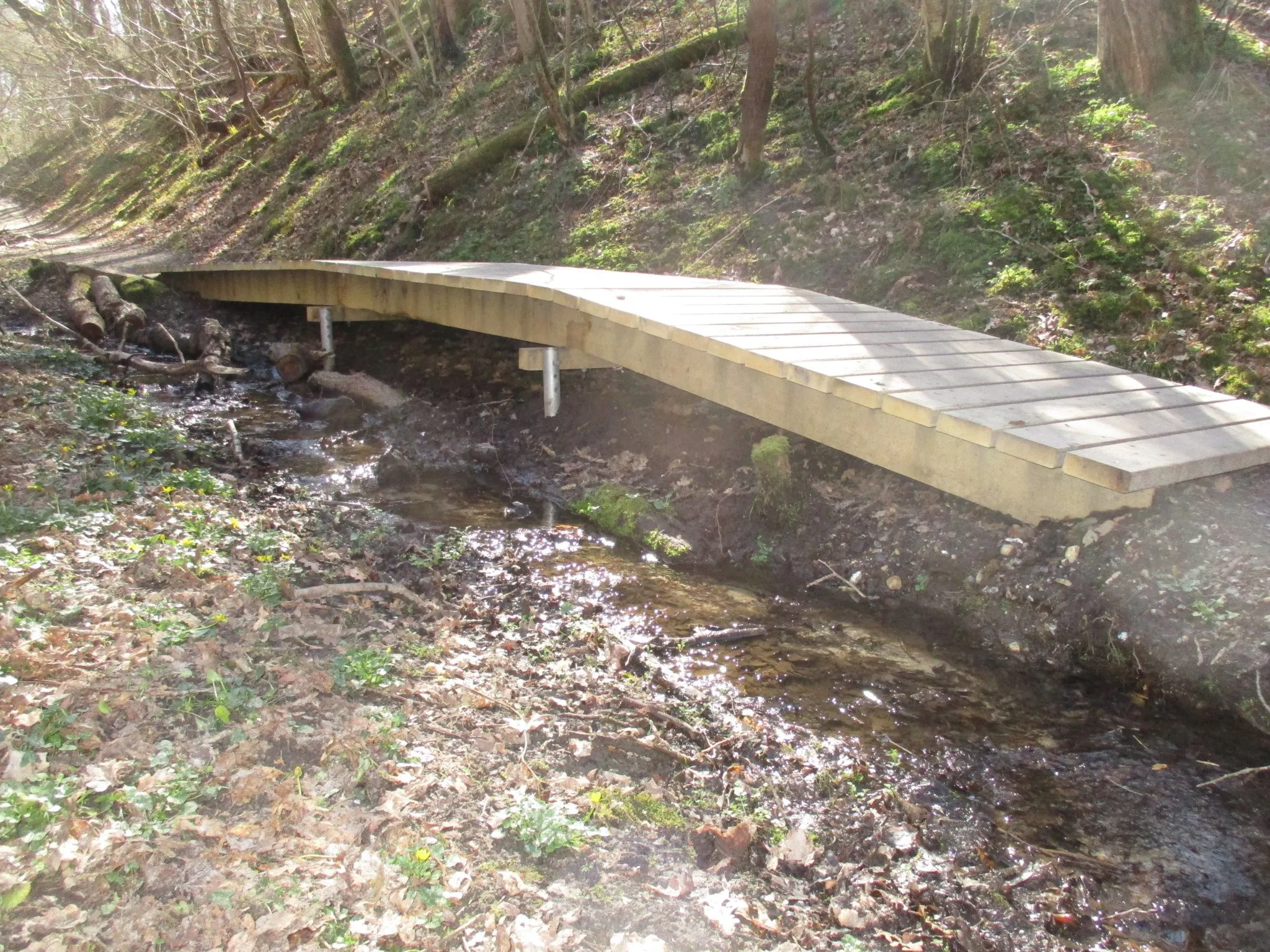Boardwalk-udført-for-Naturstyrelsen-Thy