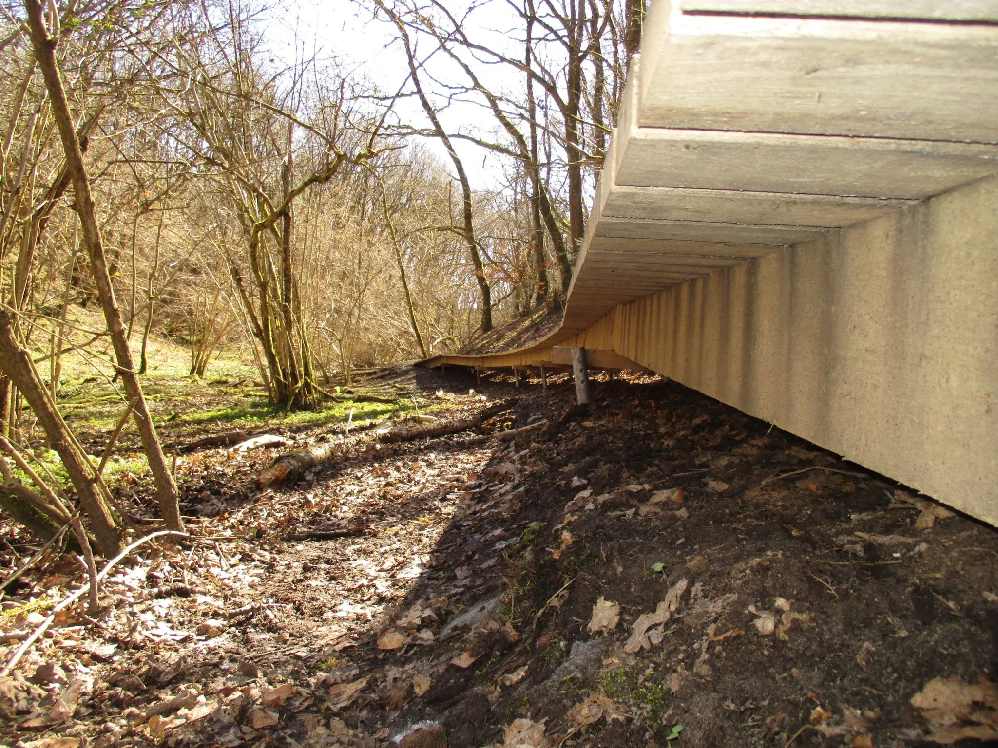 En-del-af-den-færdige-Boardwalk-i-Fosdalen