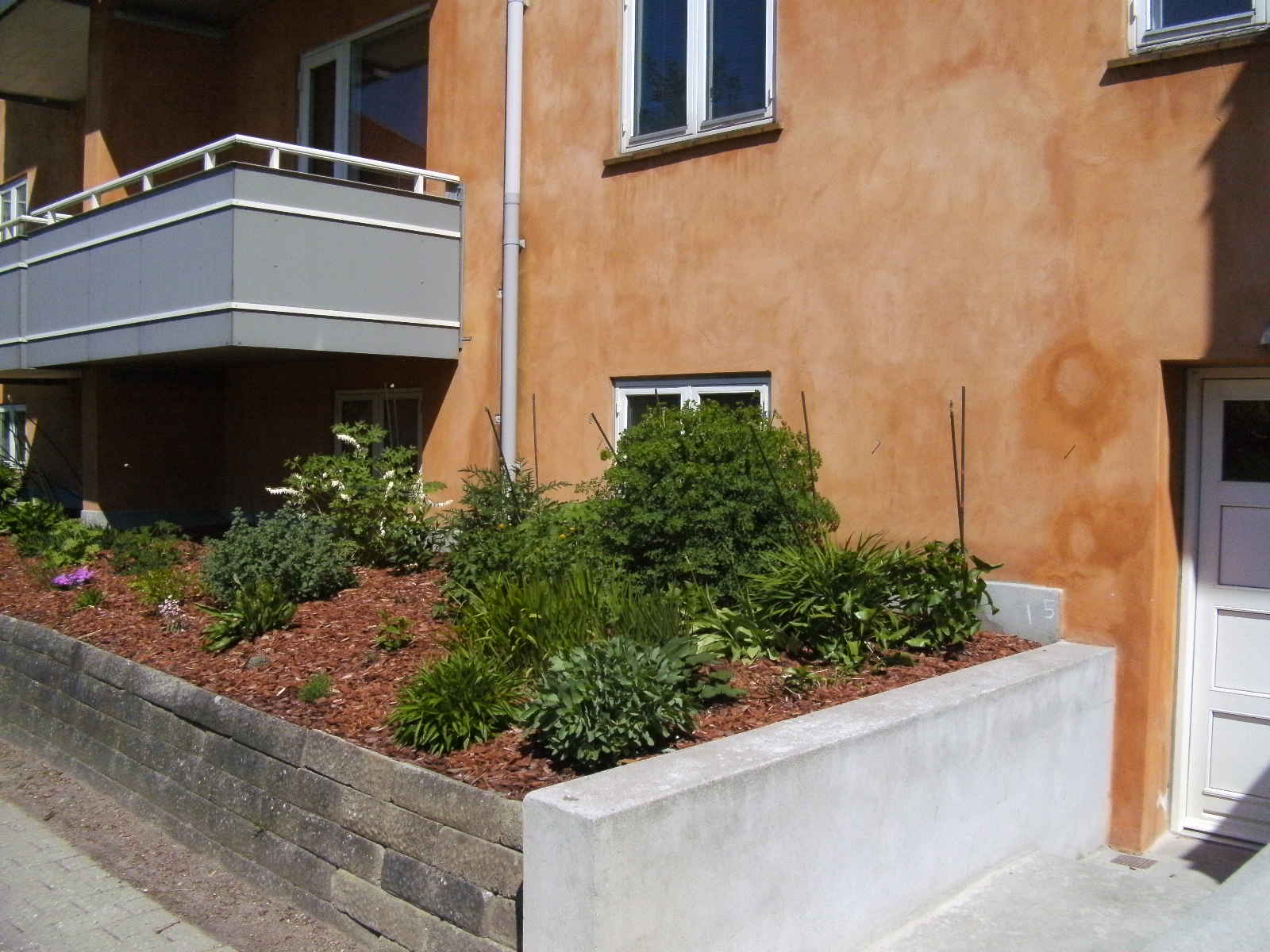 Injicering langs sokkel i blomsterbed