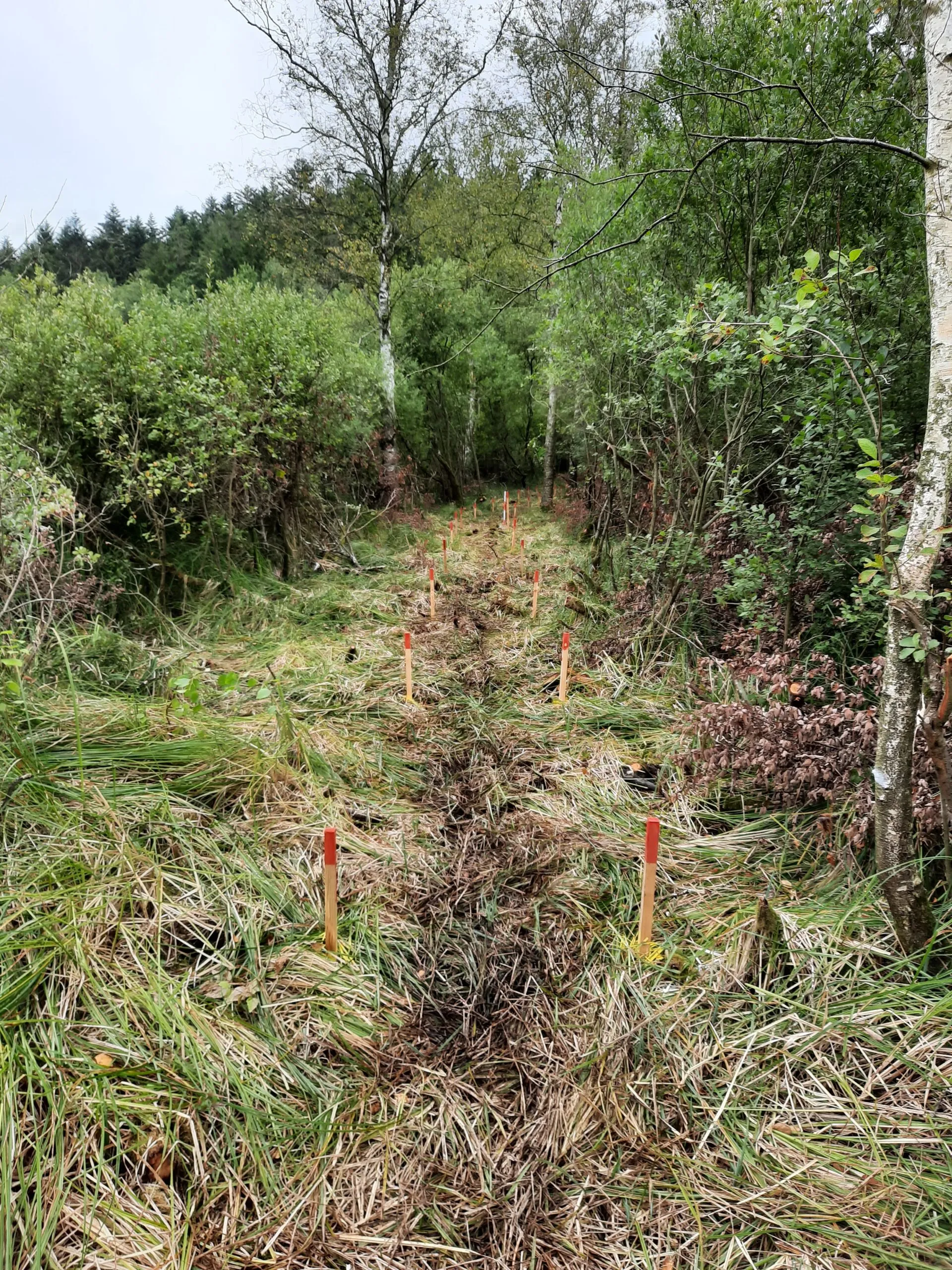 Markering af gangbroens forløb