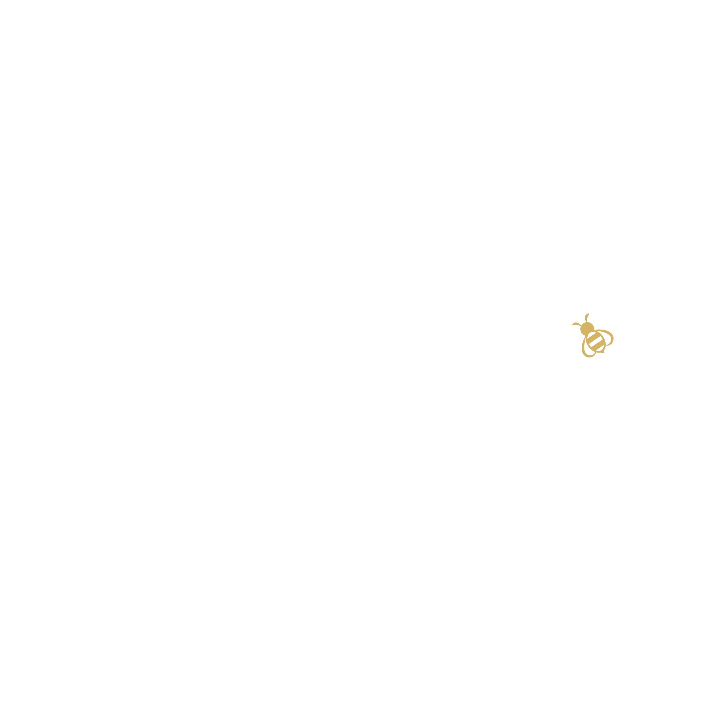 Le logo texte blanc "HONEY - Coffee and food" avec une petite abeille intégrée dans le 'E', sur un fond sombre.