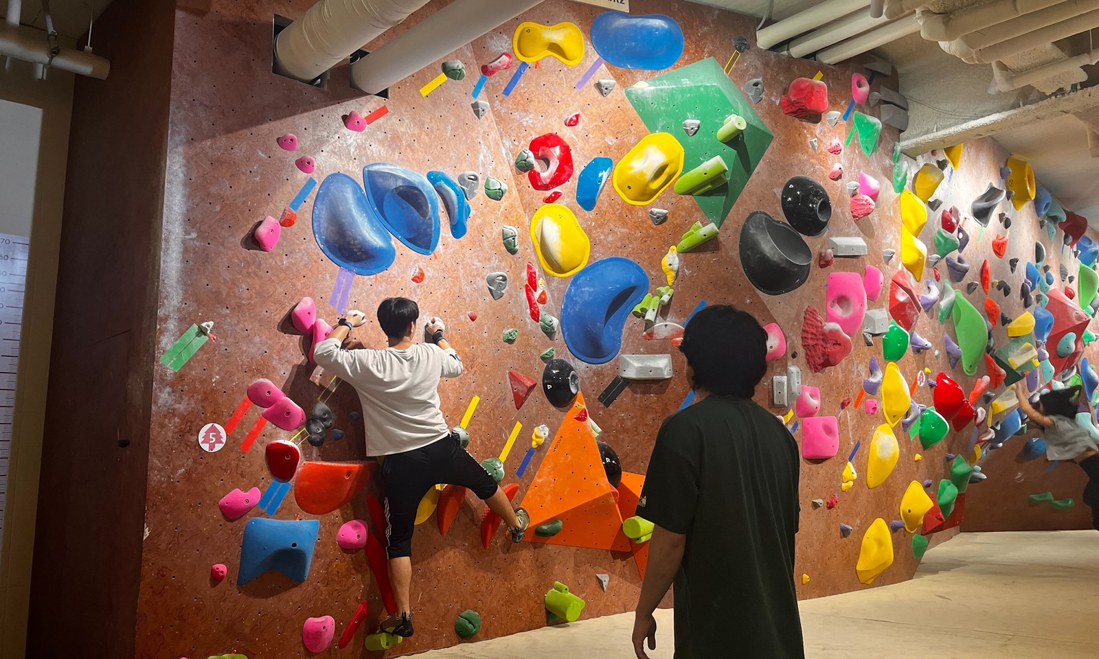 Energizing Life at Nota