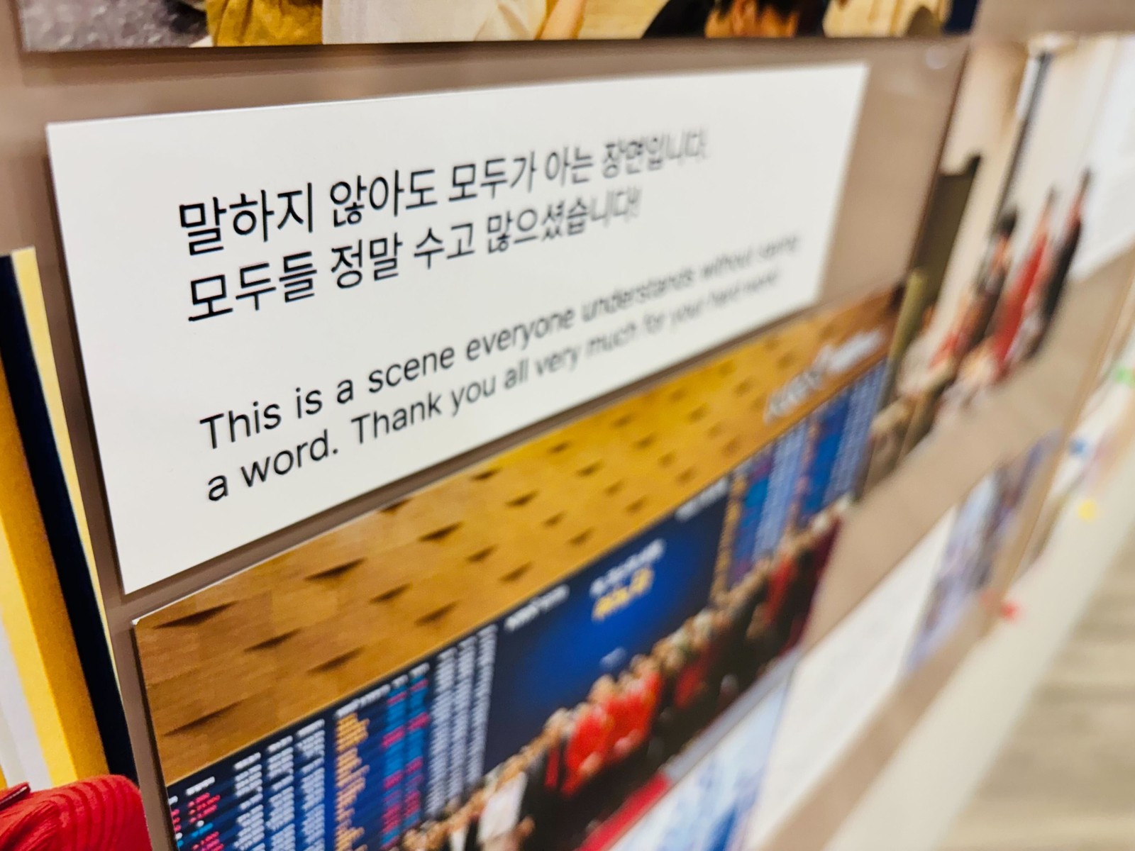 노타가 지난 한 해 동안 거쳐온 여정을 담아, 라운지에서는 작은 사진전을 개최했습니다