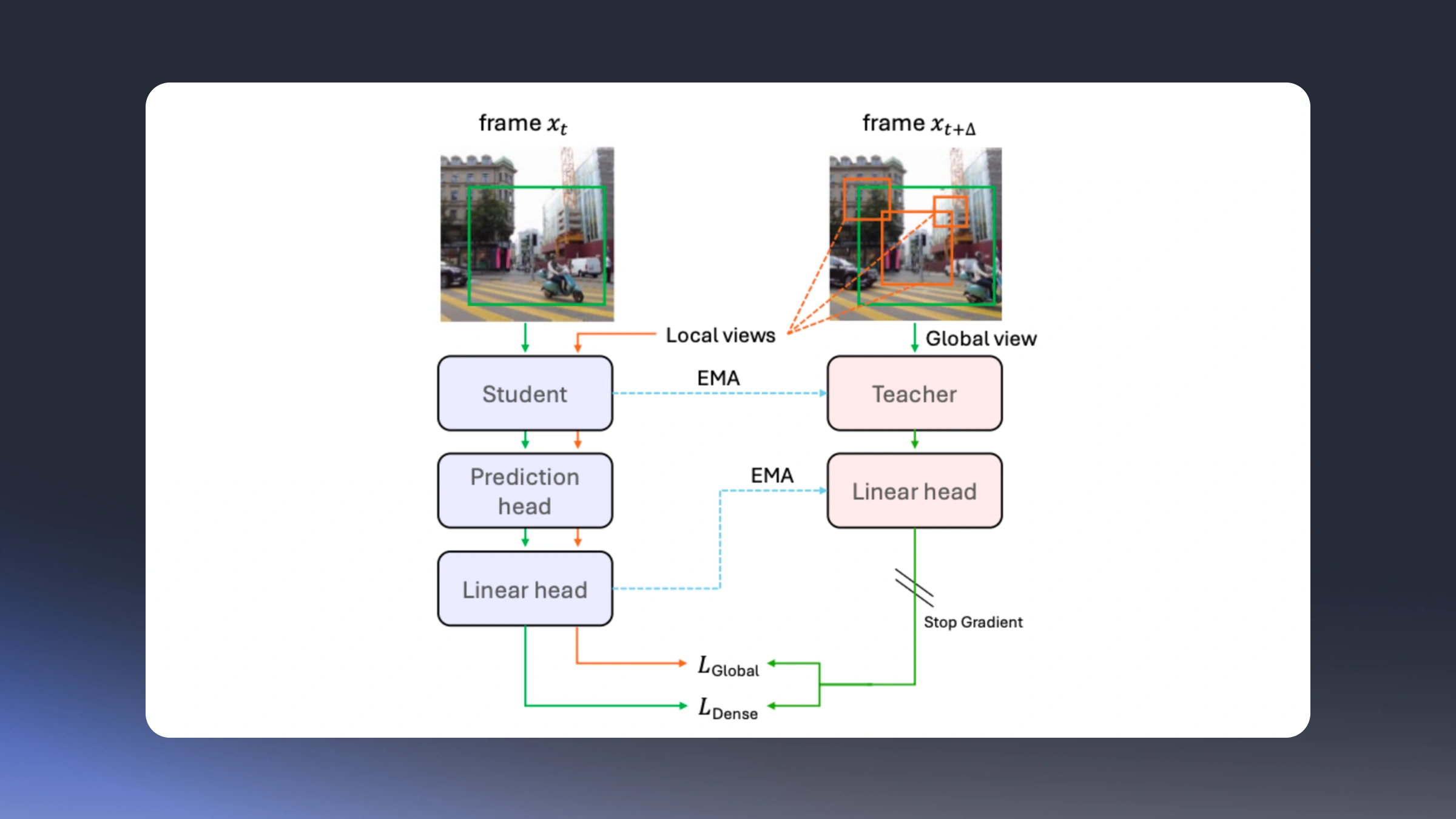 Video Self-Distillation for Single-Image Encoders: Learning Temporal Priors from Unlabeled Video