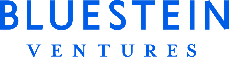 BLUESTIEN VENTURES text logo in blue uppercase letters.